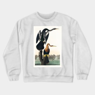 Black-bellied Darter from Birds of America (1827) Crewneck Sweatshirt